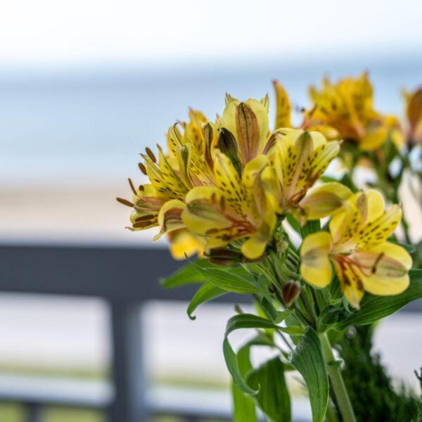 Alemar Estates Agia Triada 외부 사진